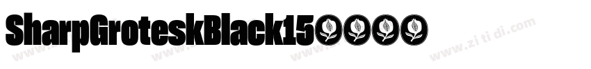 SharpGroteskBlack15字体转换