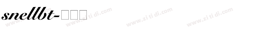 snellbt字体转换