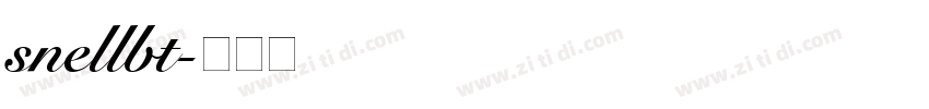 snellbt字体转换