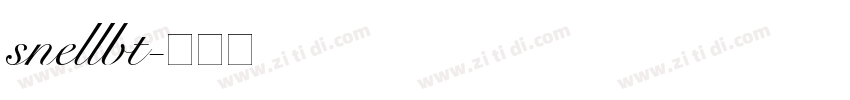 snellbt字体转换