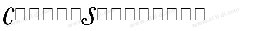 CaslonSwash字体转换