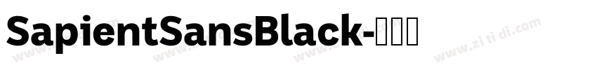 SapientSansBlack字体转换