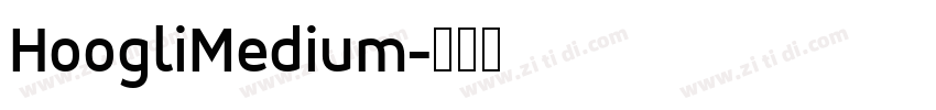 HoogliMedium字体转换