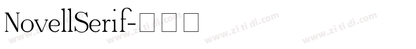 NovellSerif字体转换