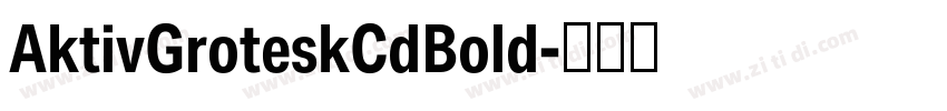 AktivGroteskCdBold字体转换
