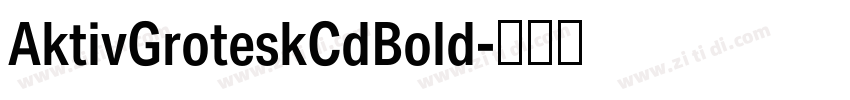 AktivGroteskCdBold字体转换