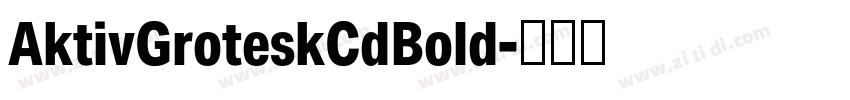 AktivGroteskCdBold字体转换