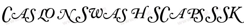 CaslonSwashSCapsSSK字体转换