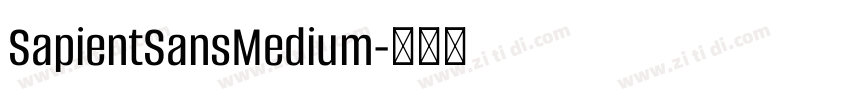 SapientSansMedium字体转换