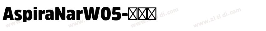 AspiraNarW05字体转换
