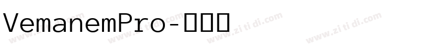 VemanemPro字体转换