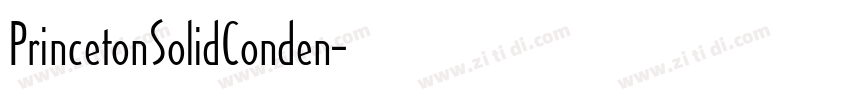 PrincetonSolidConden字体转换
