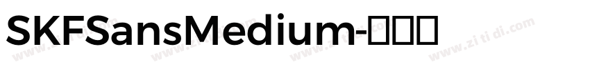 SKFSansMedium字体转换