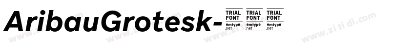 AribauGrotesk字体转换