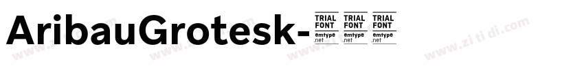 AribauGrotesk字体转换