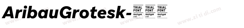 AribauGrotesk字体转换