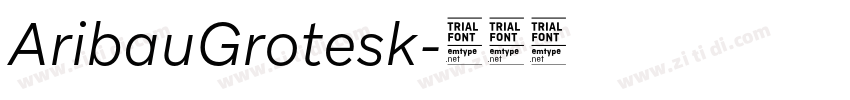 AribauGrotesk字体转换