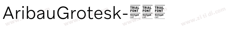AribauGrotesk字体转换