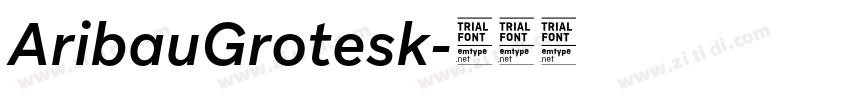 AribauGrotesk字体转换