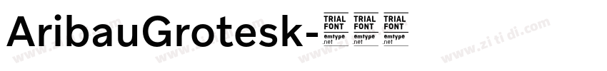 AribauGrotesk字体转换