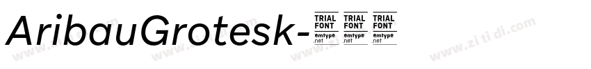 AribauGrotesk字体转换