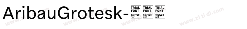 AribauGrotesk字体转换