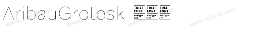 AribauGrotesk字体转换