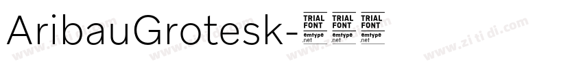 AribauGrotesk字体转换