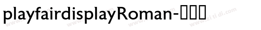 playfairdisplayRoman字体转换
