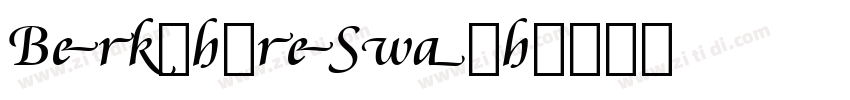 BerkshireSwash字体转换