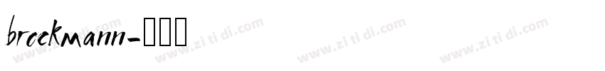 brockmann字体转换