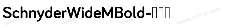 SchnyderWideMBold字体转换