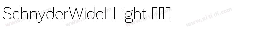 SchnyderWideLLight字体转换