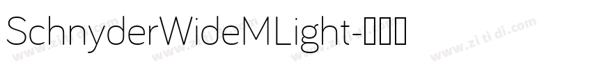 SchnyderWideMLight字体转换