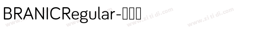 BRANICRegular字体转换