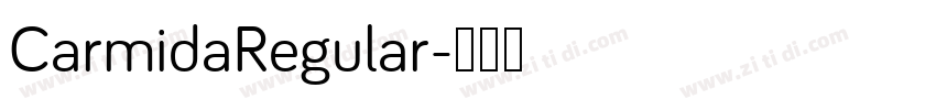 CarmidaRegular字体转换