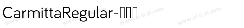 CarmittaRegular字体转换
