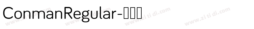 ConmanRegular字体转换