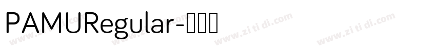 PAMURegular字体转换