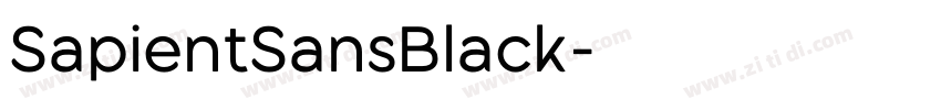 SapientSansBlack字体转换