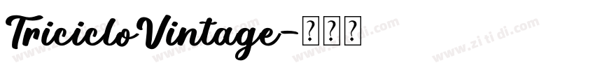 TricicloVintage字体转换