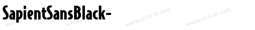 SapientSansBlack字体转换