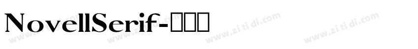 NovellSerif字体转换