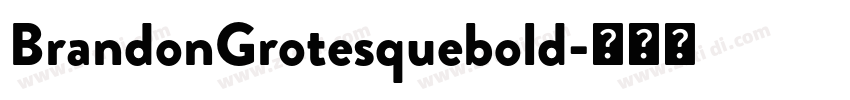 BrandonGrotesquebold字体转换