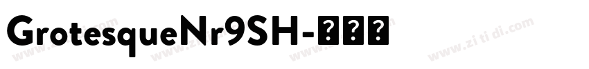 GrotesqueNr9SH字体转换