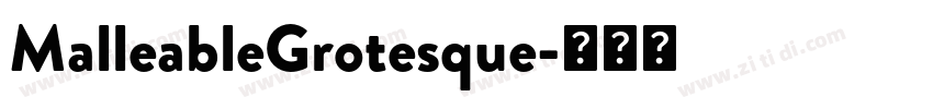 MalleableGrotesque字体转换