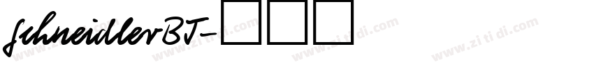 SchneidlerBT字体转换