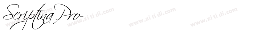 ScriptinaPro字体转换