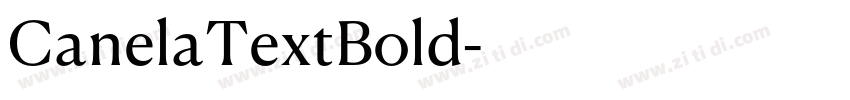 CanelaTextBold字体转换