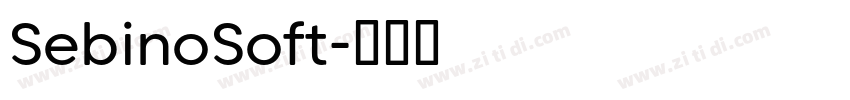 SebinoSoft字体转换